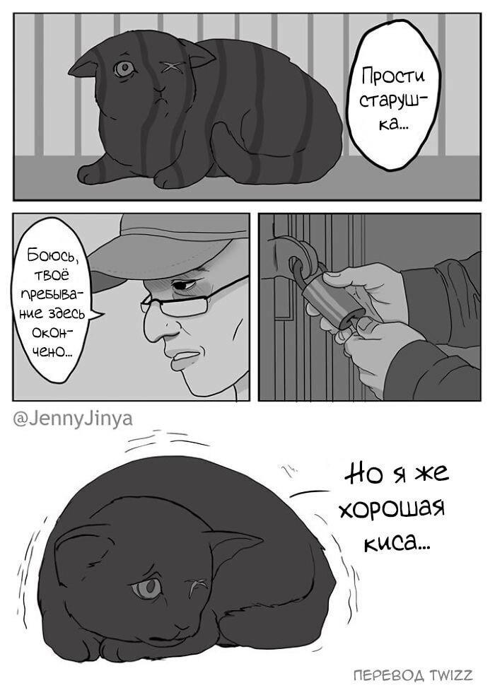Ниндзи новую порцию лука завезли