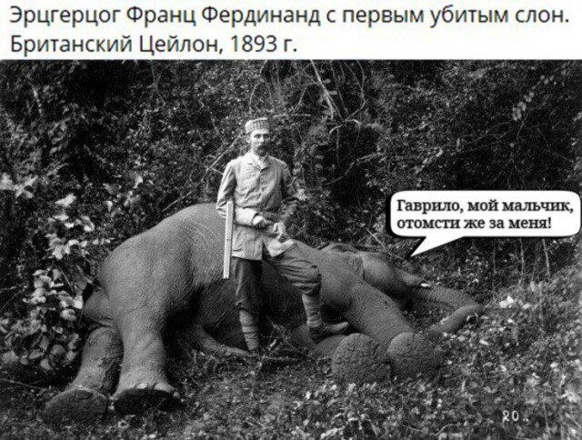 Дичка кислобоянистая