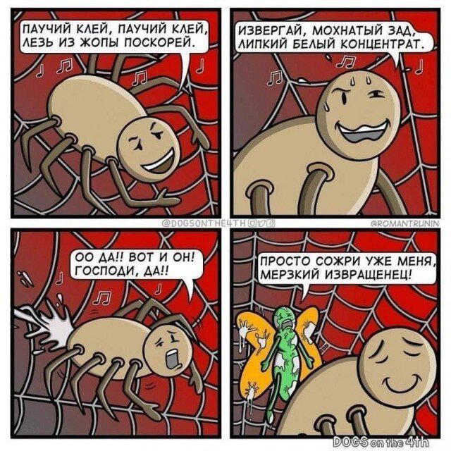 Дичка кислобоянистая