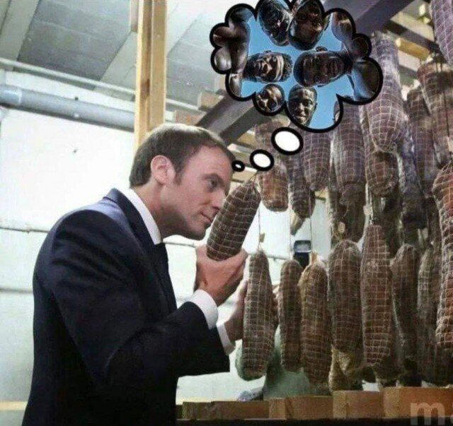 Дичка кислобоянистая