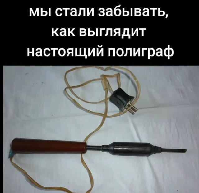 Дичка кислобоянистая