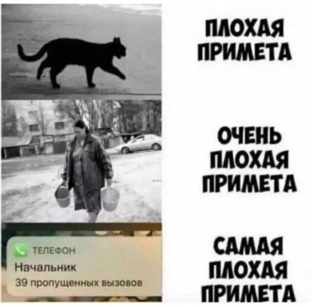 Дичка но субботняя