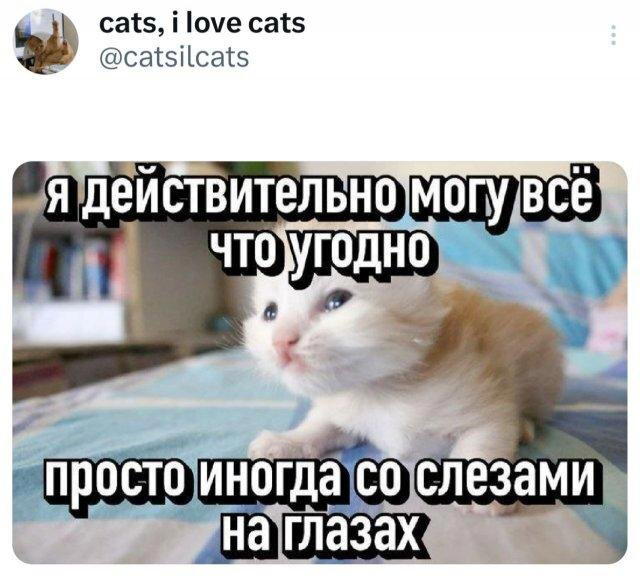 Дичка но субботняя