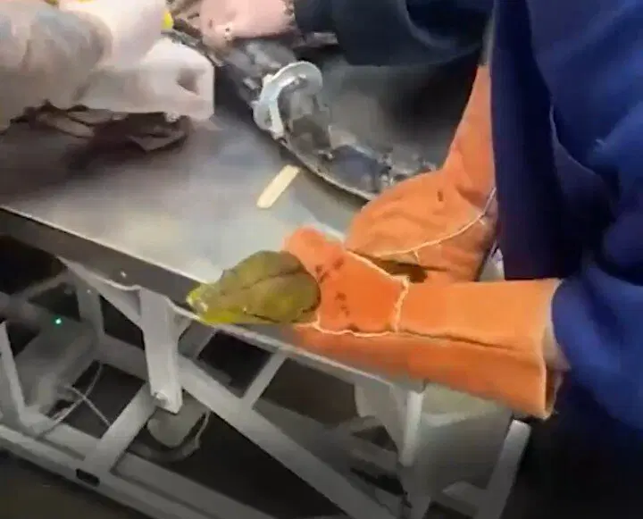 Не удачный побег Василия