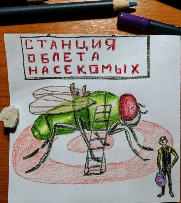 э как могут вомбаты!