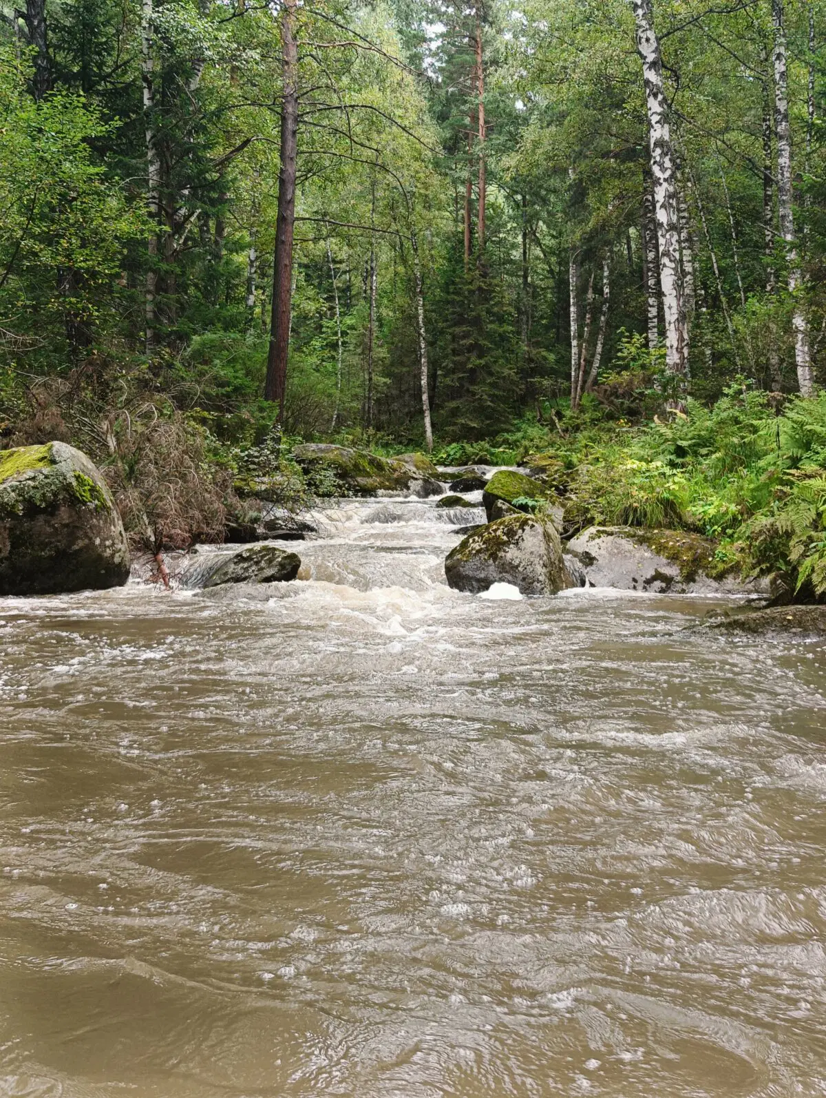 Лесные духи