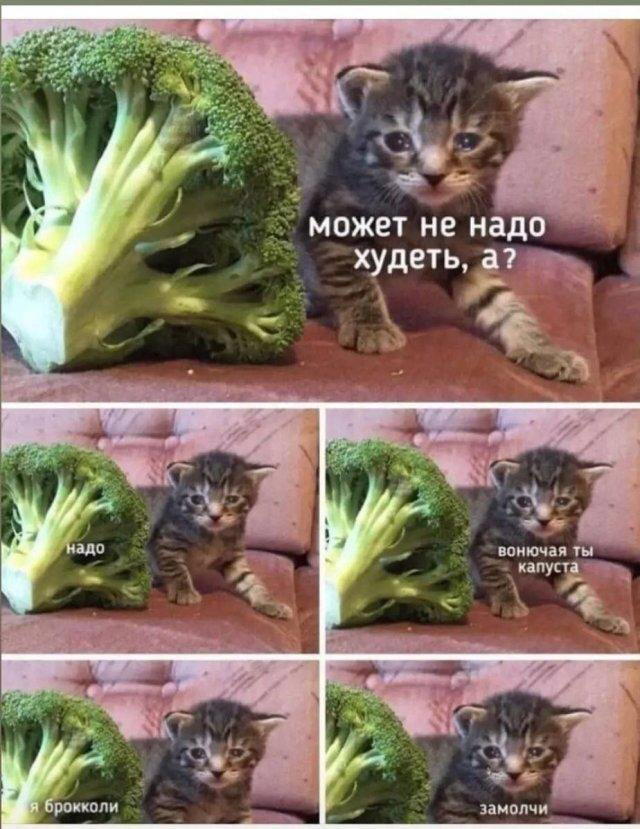 Дичка дичка ачи ачи