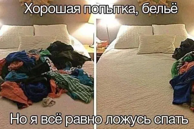 Дички в ленту