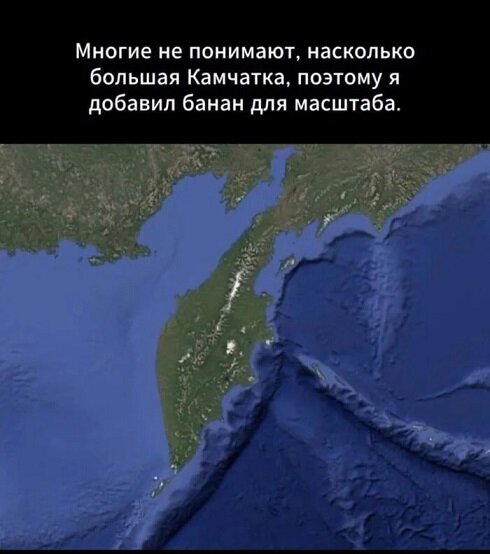 Дички в ленту