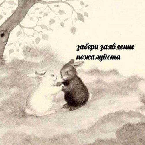 Дички в ленту