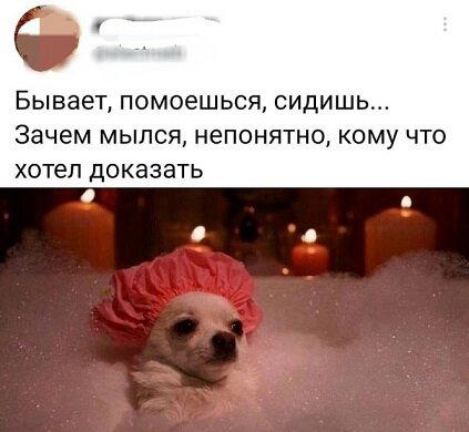 Дички в ленту