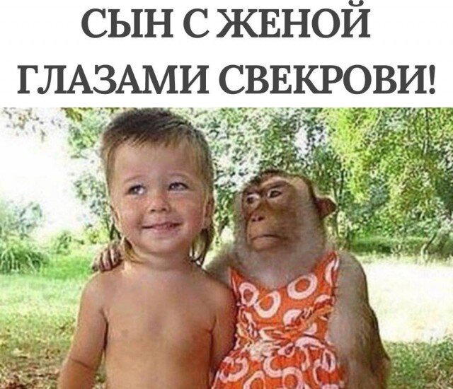 Дички в ленту