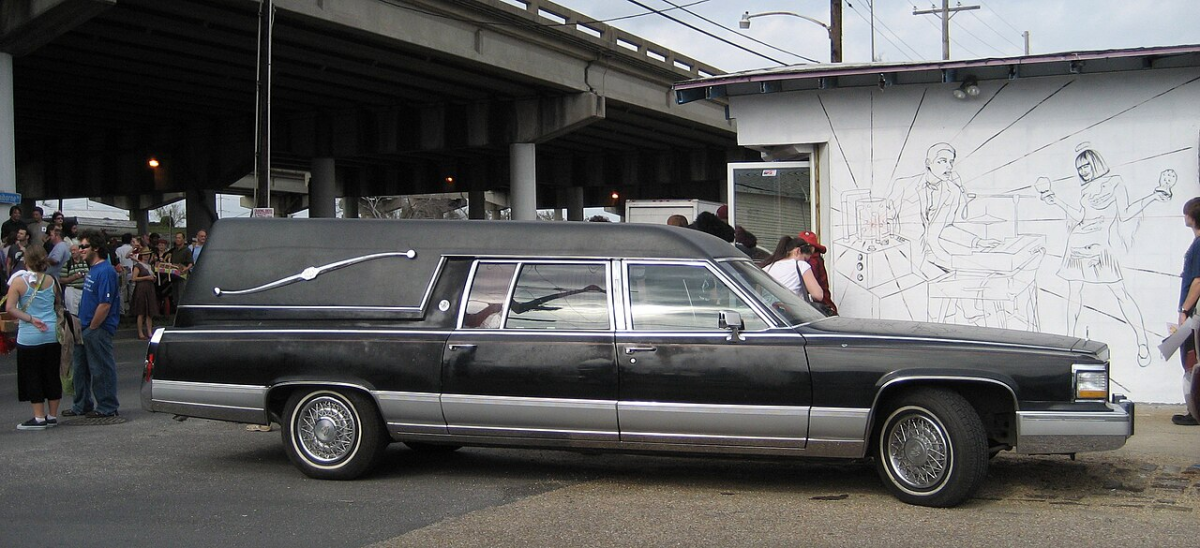"Landau bar" (Бар "Ландо") на задней четверти панели катафалка Cadillac фото с сайта: https://en.wikipedia.org/wiki/Landau_(automobile)#/media/File:1991CadillacHearseKDoe.jpg