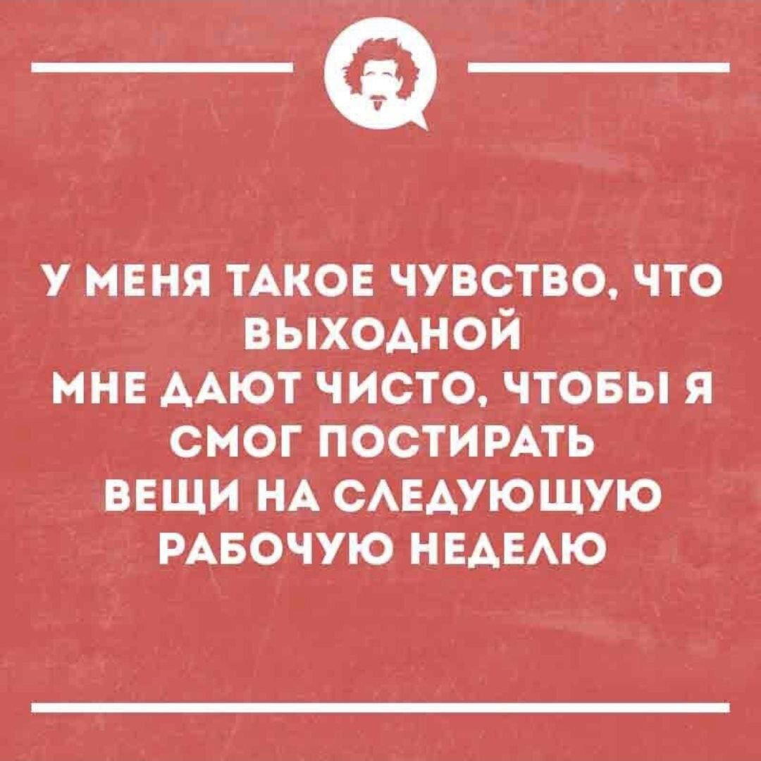 Дичь субботняя
