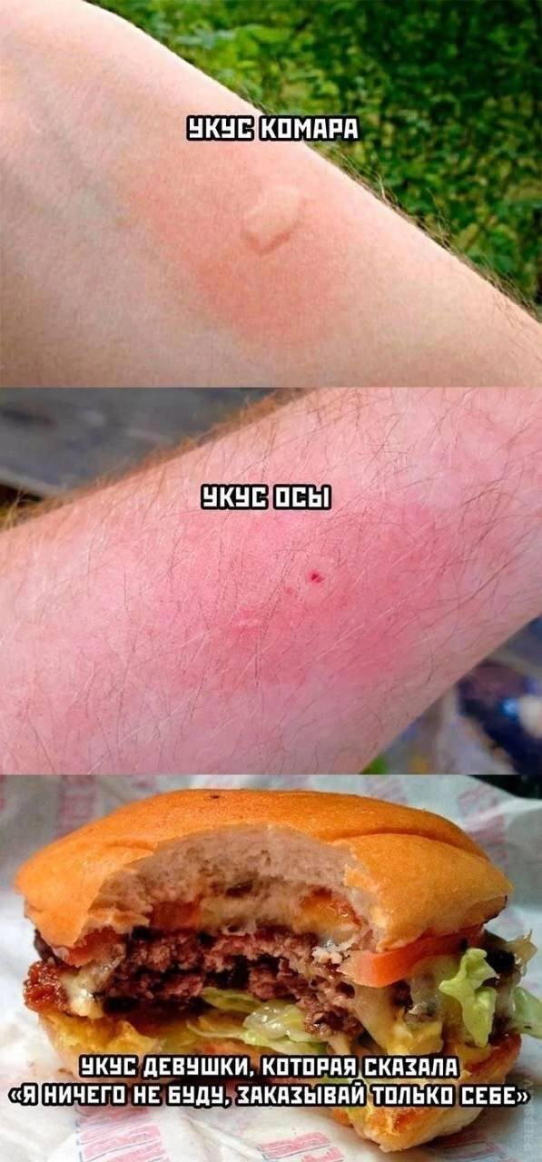 Дичь субботняя