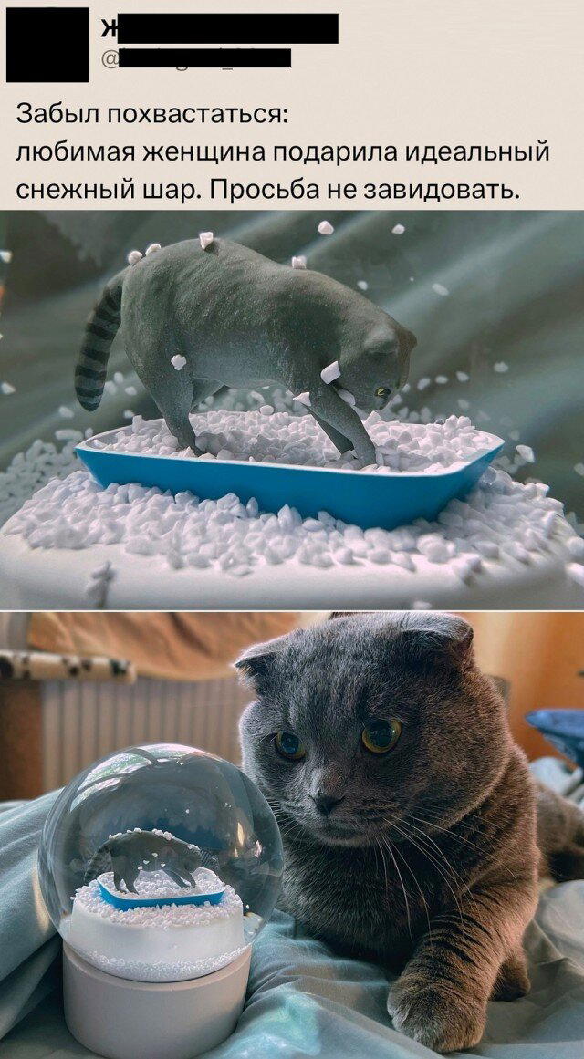 Дичь субботняя
