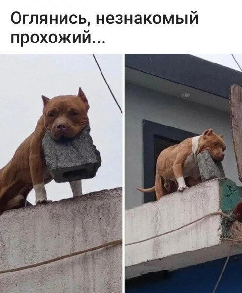 Ещё одно применение силикатного блока...