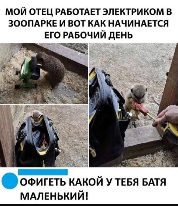Дичка, угощаемся на четверг