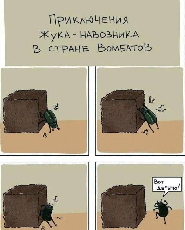 Дичка, угощаемся на четверг