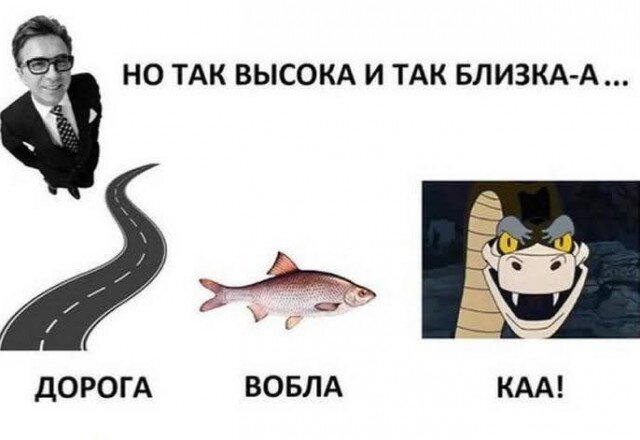 Дичь диченька