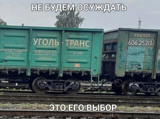 Дичь диченька