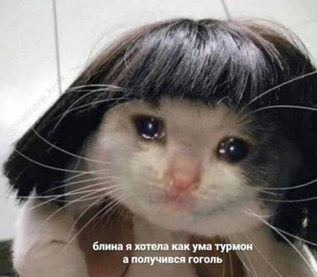 Дичь диченька