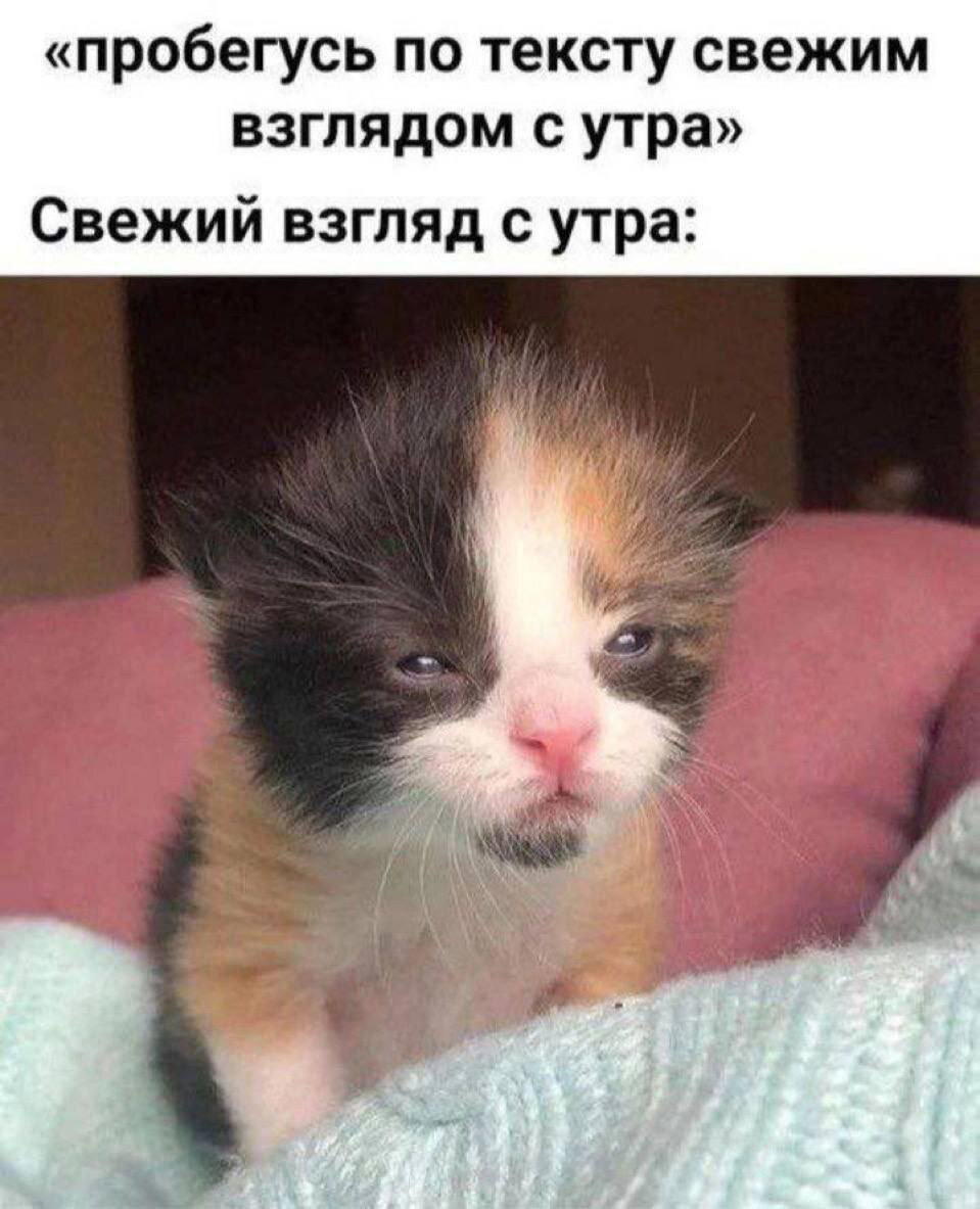 Дичка мало кисло скоро 1 сентября