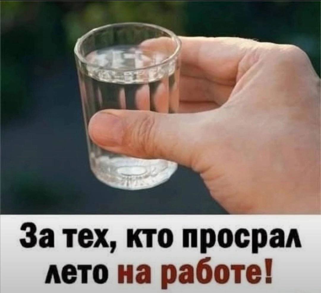 Дичка мало кисло скоро 1 сентября