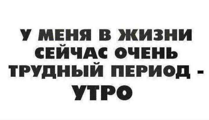 Дичка мало кисло скоро 1 сентября