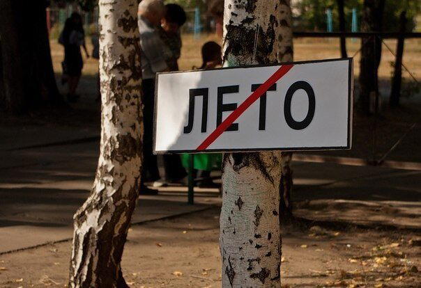 Дичка уроджаестая...