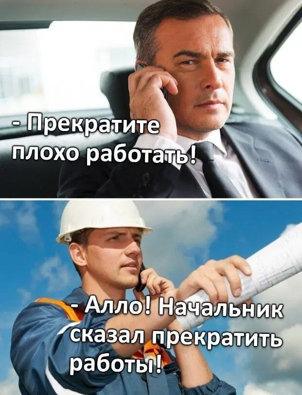 Дичка уроджаестая...