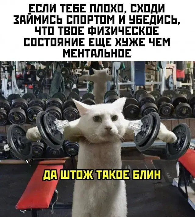 Дичка уроджаестая...