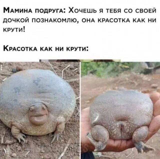 Дичка уроджаестая...