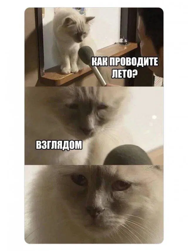 Дичка уроджаестая...