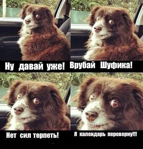 Дичка уроджаестая...