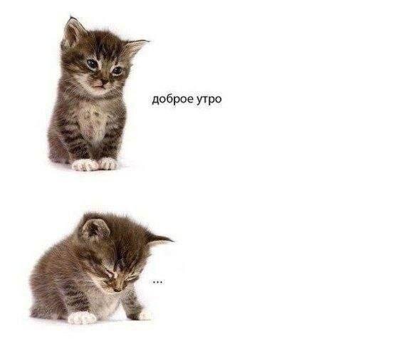 Дичка четверговоя