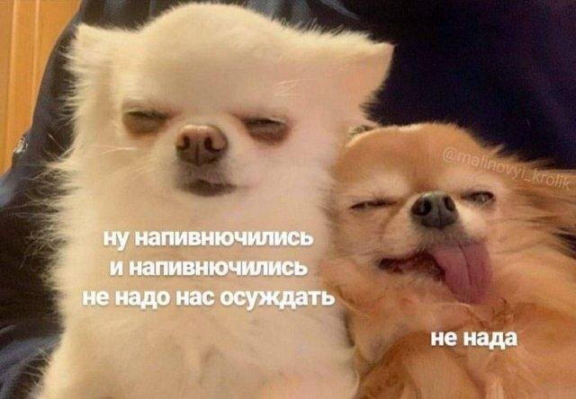 Дичка четверговоя