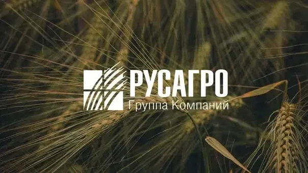 Русагро: результаты отличные, но корпоративные риски никуда не делись
