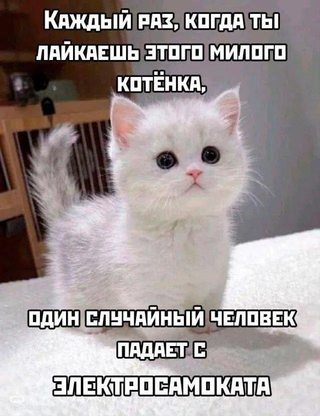 Дичка ммм суббота