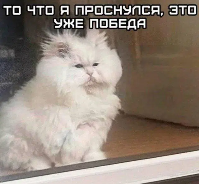 Дичка ммм суббота