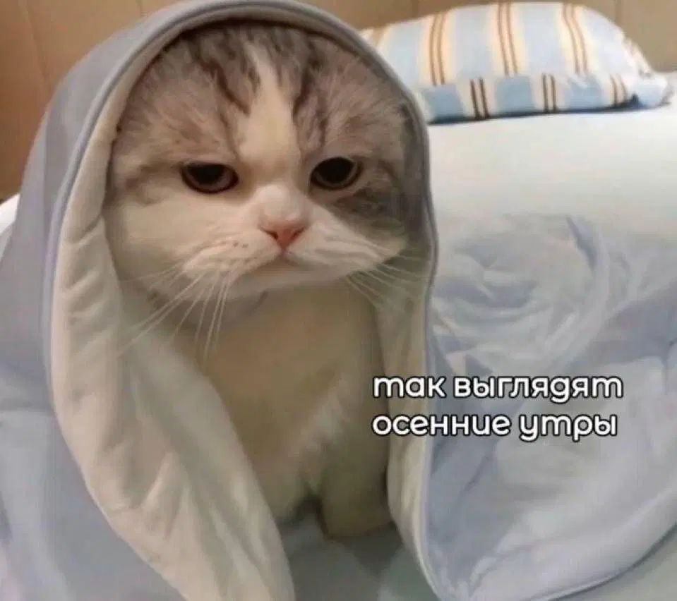 Дичка ммм суббота