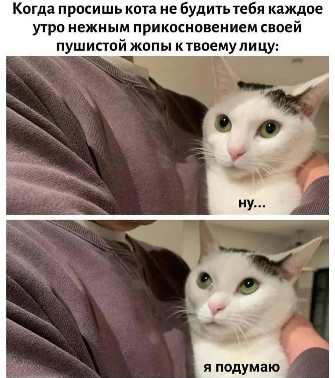 Дичка ммм суббота