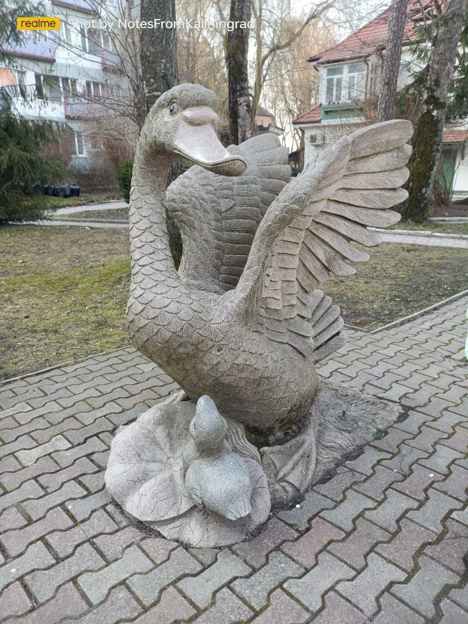 Утка с утёнком