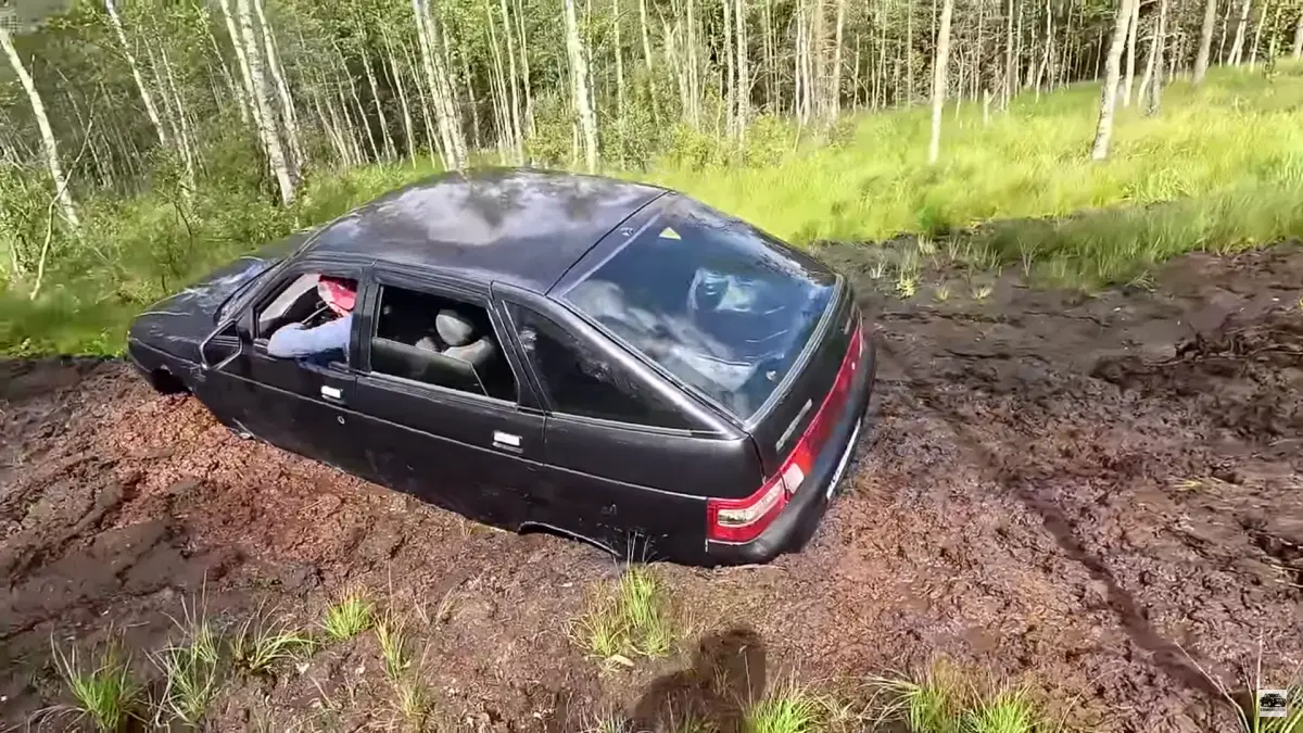 Засела по самые яйца