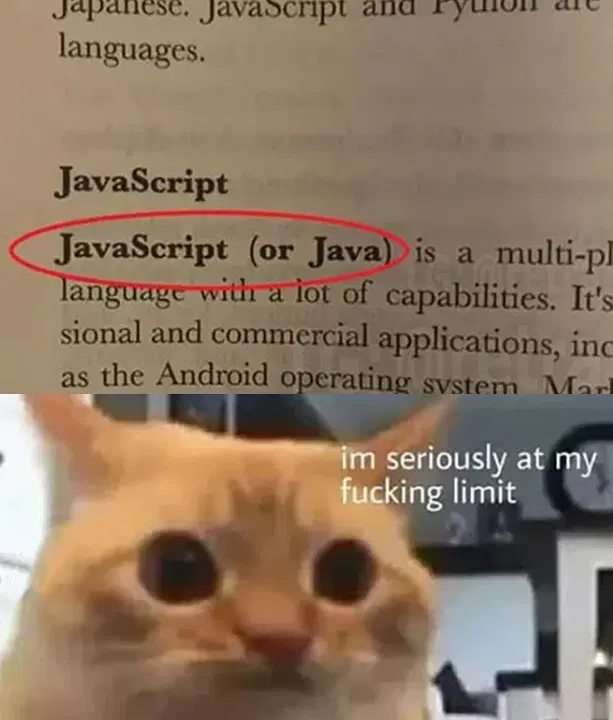 котик еле сдерживается