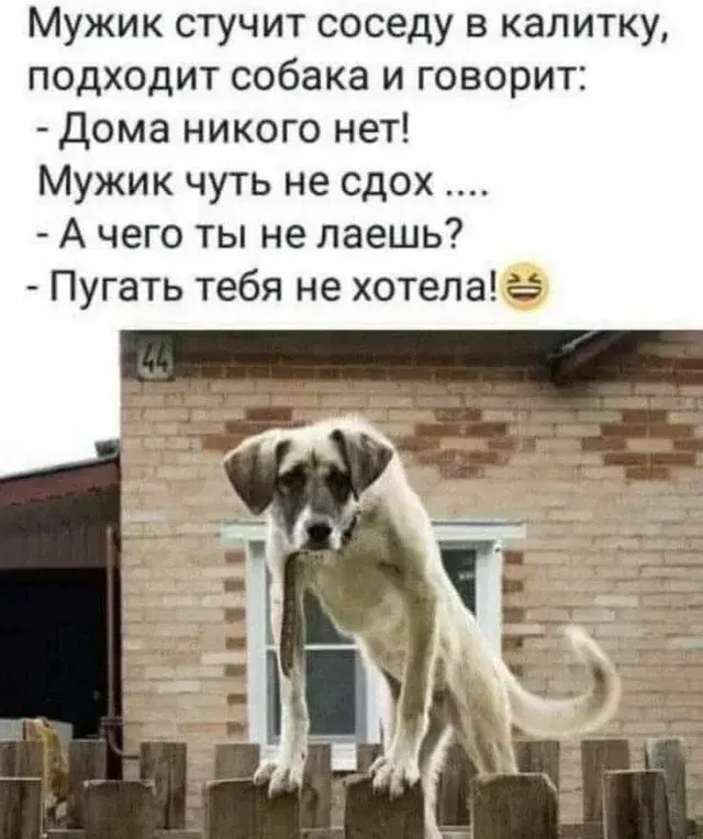 Дичька воскресная