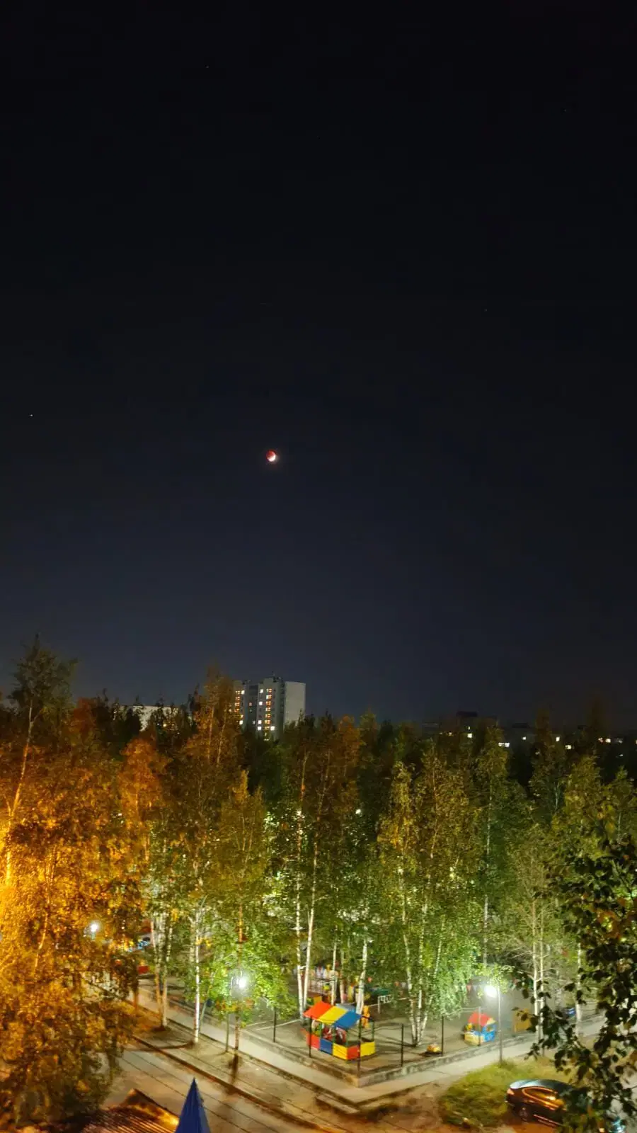 Ивент Вомбата. Слово недели - Проток.