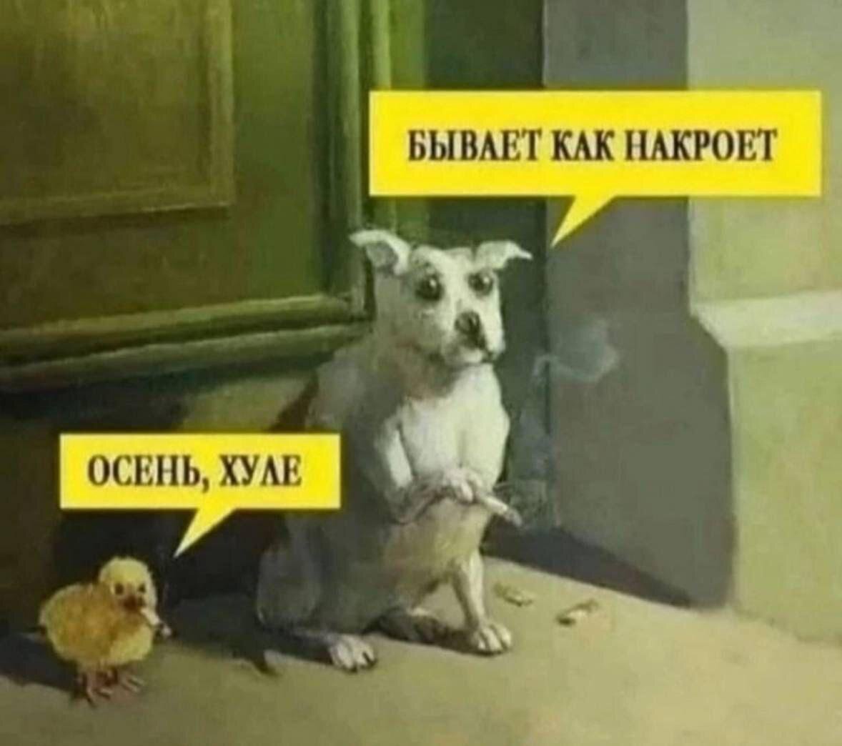 Осенья дичька