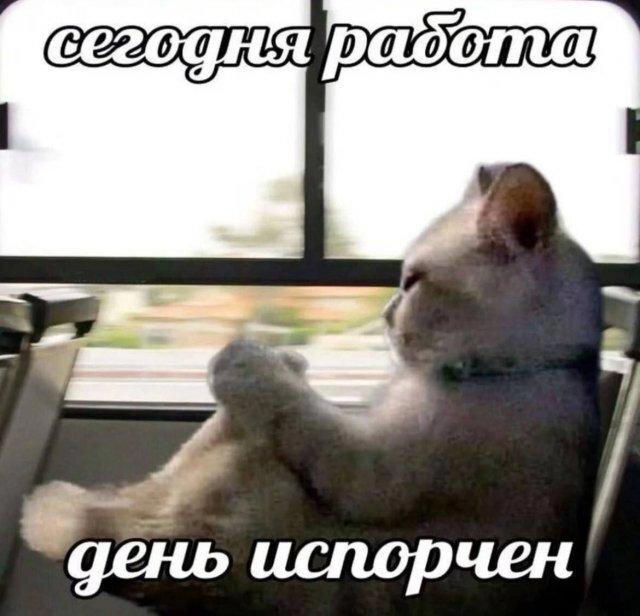 Осенья дичька