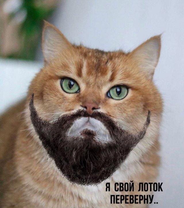 Дичка спелая четверговая